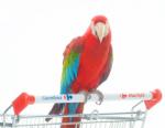 Carrefour Italia: On Air la nuova campagna ADV TV e Web 